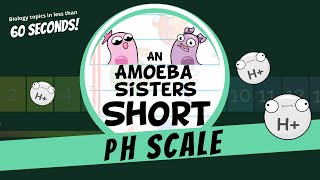 pH Scale - Amoeba Sisters #Shorts