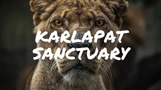 Karlapat Wildlife Sanctuary | Kalahandi