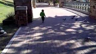 Connor Chasing Birds