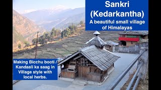 Sankri (Kedarkantha) - The beautiful base village of Kedarkanth, Lifestyle and food of locals.