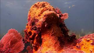 Christ of the Abyss Statue Close up- Scuba Diving Key Largo