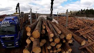 Unloading a load of timber on a Timbertruck #20