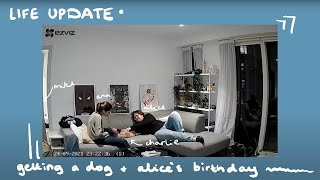 life update - getting a dog + birthday!