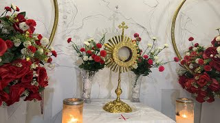 TIME WITH JESUS IN THE BLESSED SACRAMENT 11/11/24