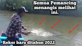 Mancing Tehnik Trol Di Sambar Mama Black Bas 13,3kg // Kalimantan utara