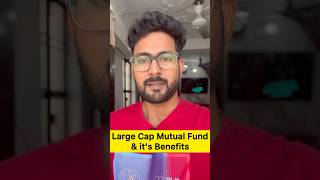 Large Cap Mutual Fund kya hota hai ?