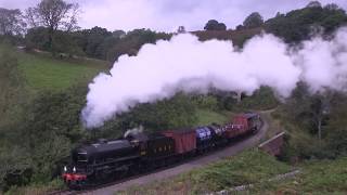 LNER Class B1 No.1264  southbound freight at Darnholm [NYMR 2019]