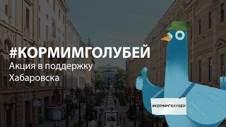 #кормимголубей акции в поддержку Хабаровска