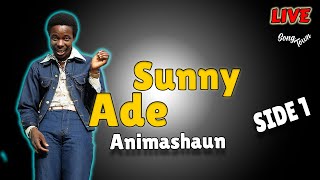 Sunny Ade Live at Ikorodu for Animashaun Oct 93 Side A