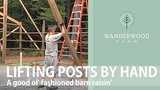 Hand-raising 17' posts for our first BIG wall (025)