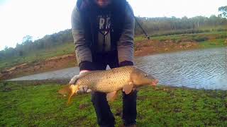 Carp fishing Australia part 1