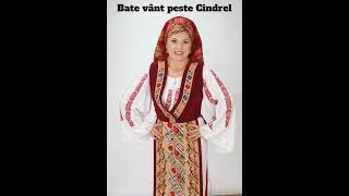 Nicoleta Voica - Bate vânt peste Cindrel