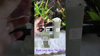 Love in Dark da In the Box, inspirado em Creed! #contratipos #inspirados #intheboxperfumes