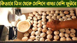 কিভাবে ইনকিউবেটরে ডিম বসালে বাচ্চা ভালো পাবেন || Incubator || Nur Bhai