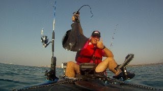 Manta desde kayak ( jigging )