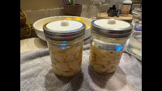 How to ferment garlic