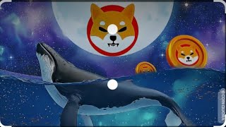 NEW WHALES BUYS 119 BILLION SHIBA INU TOKENS!!!!