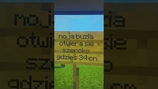 Dziwne rzeczy w Minecraft PS3