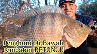 Tempat Ini jarang Di Jamah Sama Orang..!! ||Ketapel Ikan ||Slinghot Fishing