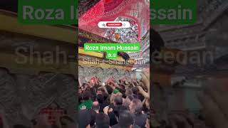 Roza Imam Hussain a.s | Karbala | Arbaeen | Nadeem Sarwar #viral #reels #shorts