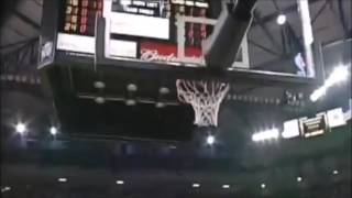 Peja Stojakovic greatest assist ever