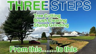 SHORT VERSION Removing, Clearing and Grinding a 60 Year Old Pine Tree!