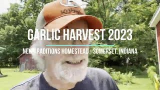 NEW TRADITIONS HOMESTEAD GARLIC HARVEST 2023