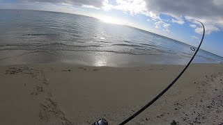 Ep#5- Easiest way to catch Trevallies/Carrangue from Shore- Fishing Beach Mauritius