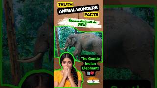 Elephant Secrets: Nature’s Gardeners! 🐘 #animalwonders