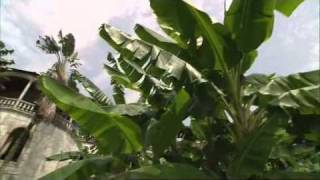 Over the Islands of Africa - Sao Tomé