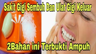 Sakit Gigi Dan Ulat Gigi keluar Dengan Bahan Alami ini