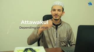 Attawakkul and Attawaakul Rizq (provision) التوكل والتواكل #islamicstatus #fyp #arabic