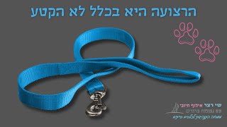 הרצועה היא בכלל לא הקטע