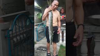 bagong huli # big fish # fresh # Southern Philippines