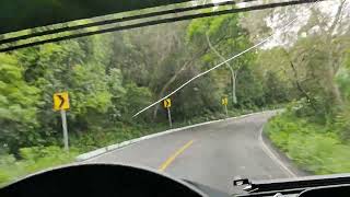 Unos cuantos días de lluvia y así están los paisajes 🌳🌱