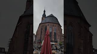 Walking around Germany. The old, romantic town of Heidelberg! #travel #spring #birds #tram #nature