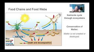 CH20 Part 3 Energy Flow & Nutrient Cycling