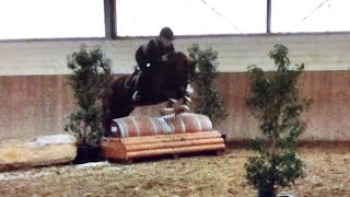 Hallengeländetraining mit Solido in Bonn - Lehrgang bei Jan Büsch