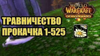 Гайд по прокачке ТРАВНИЧЕСТВА 1-525 | wow 4.3.4