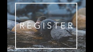 • Registering with eBird •