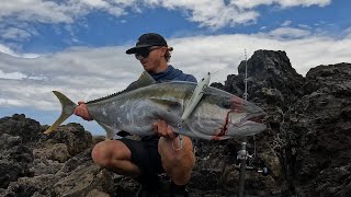 TOP WATER LANDBASED KINGFISH TAG AND RELEASE