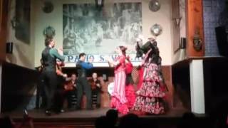 Il Flamenco a Siviglia presso El Patio Sevillano