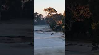 ❄️ Frosty golf mornings at The Metropolitan Golf Club on the Melbourne sandbelt