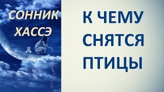 К чему снятся птицы. Сонник Хассэ. Толкование снов.