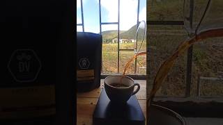 Disfruta de los placeres simples de la vida con una taza de café en el corazón del campo. #coffee