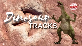 DINOSAUR TRACKS. Следы динозавров. ВСЁ, что ОСТАЛОСЬ после "ядерной - ударной ЗИМЫ" #navajonation