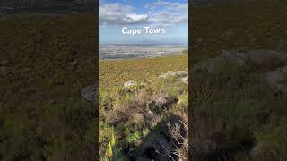 Nature in Cape Town. South Africa #southafrica #shorts