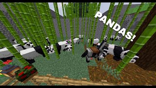 Minecraft panda riding a boat