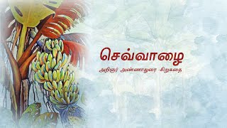 செவ்வாழை#அறிஞர் அண்ணாதுரை#tamilstoryteller #short stories#novel #tamil stories