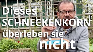 Dieses BIO-Schneckenkorn überleben sie NICHT